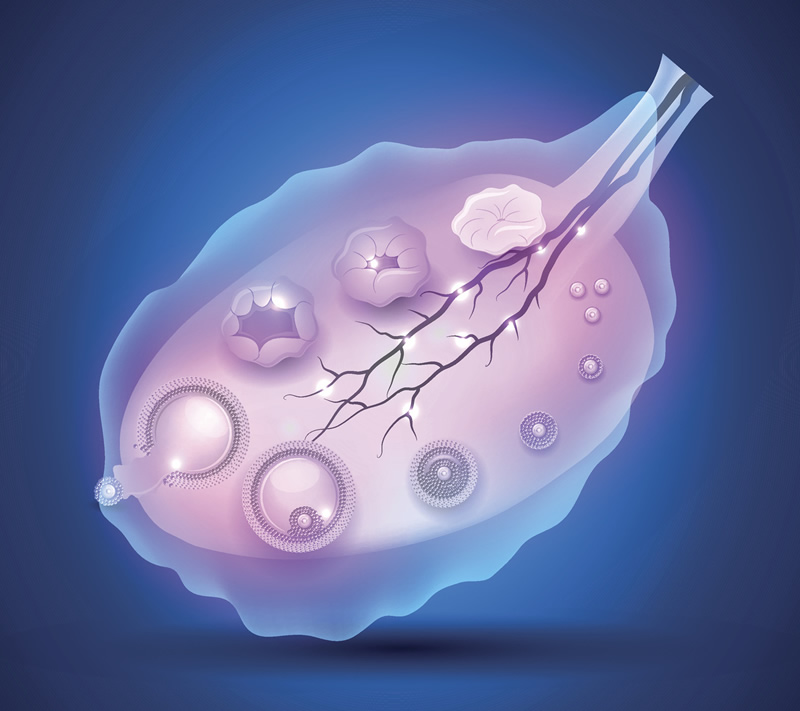 深圳育儿补贴最新进展：生三孩累积可领1.9万，外地户口有份吗？